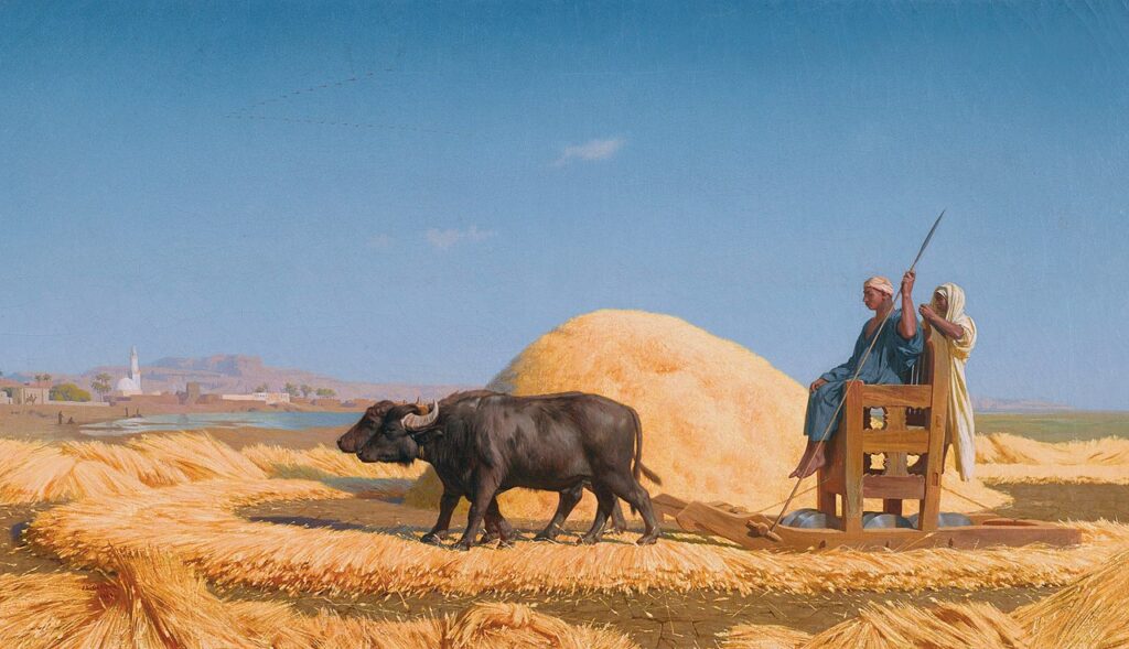 Gérôme, The Egyptian Grain-Cutter (Straw-cutting in Egypt), 1859, oil on canvas. 